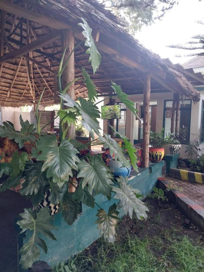 Green Garden Guest House Arusha Exteriér fotografie