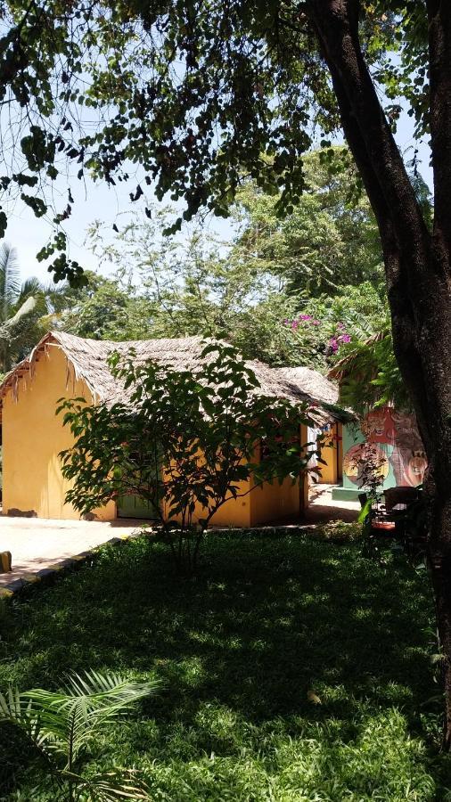 Green Garden Guest House Arusha Exteriér fotografie