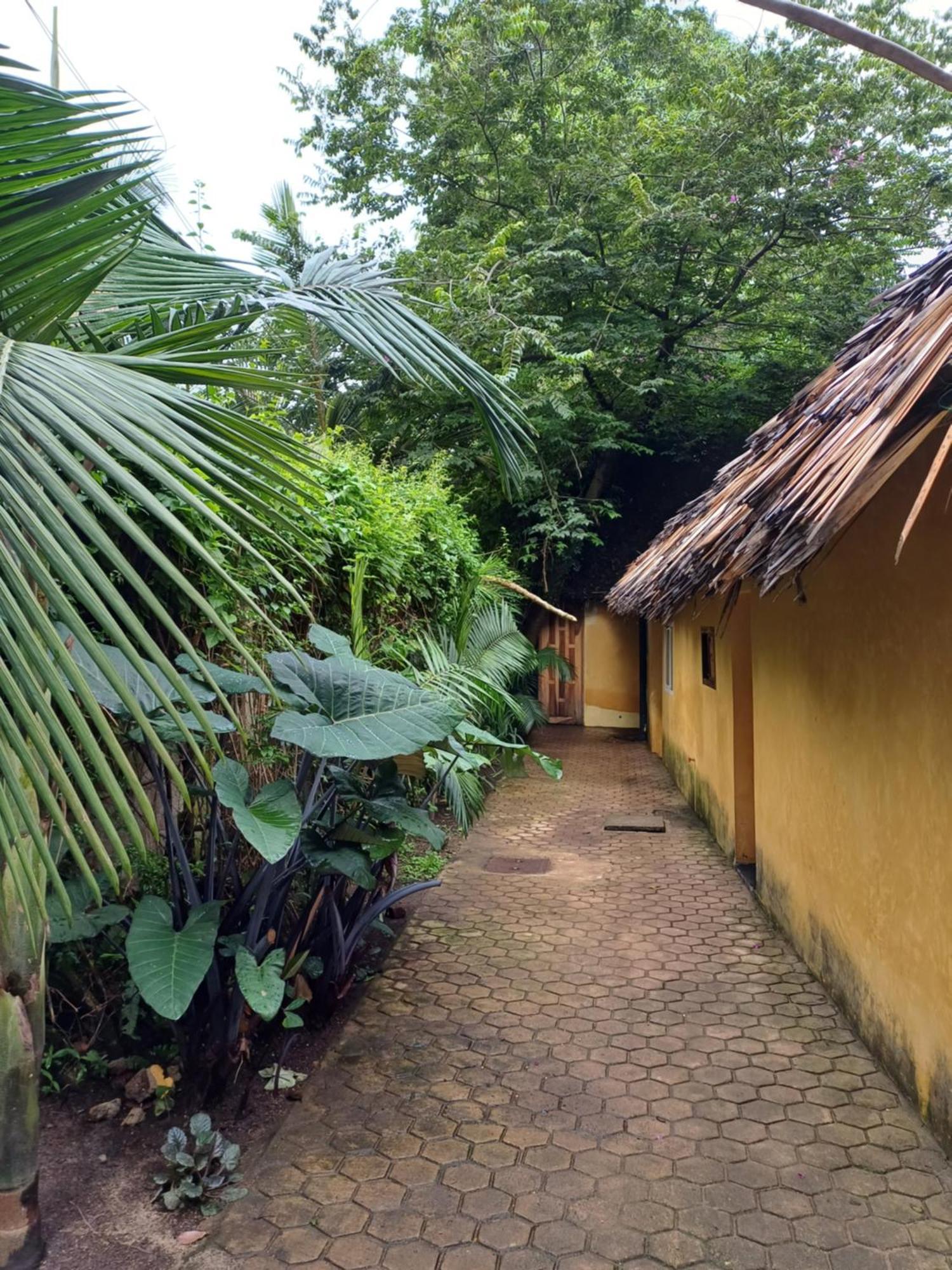 Green Garden Guest House Arusha Exteriér fotografie